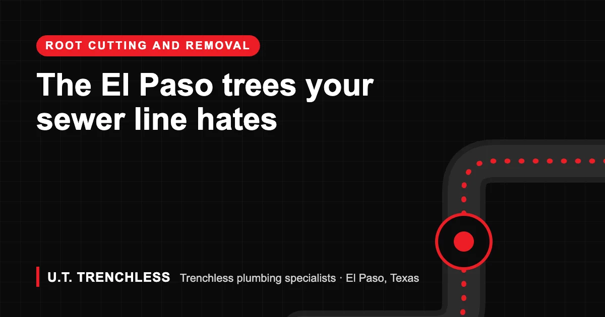 Sewer lines guide from U.T. Trenchless, trenchless plumbers in El Paso, Texas