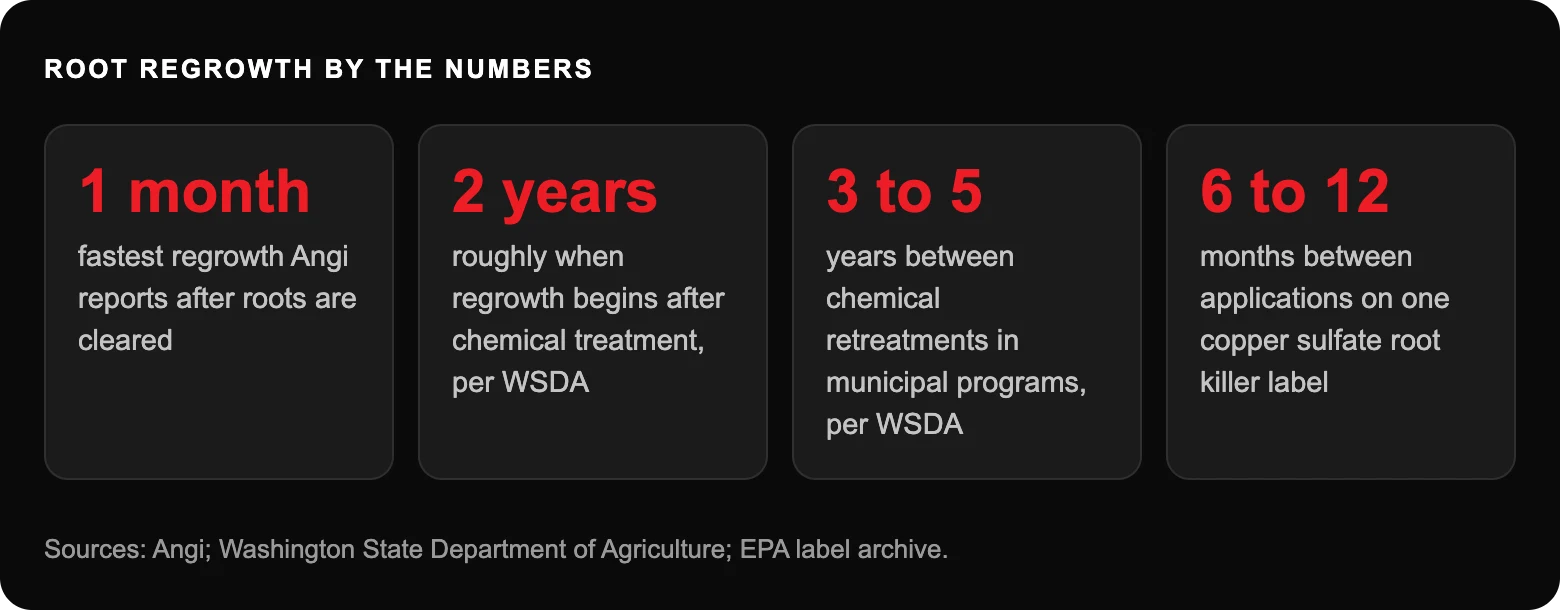 Root regrowth by the numbers: 1 monthfastest regrowth Angi reports after roots are cleared; 2 yearsroughly when regrowth begins after chemical treatment, per WSDA; 3 to 5years between chemical retreatments in municipal programs, per...