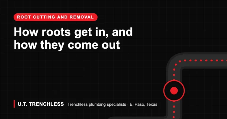 Tree roots guide from U.T. Trenchless, trenchless plumbers in El Paso, Texas