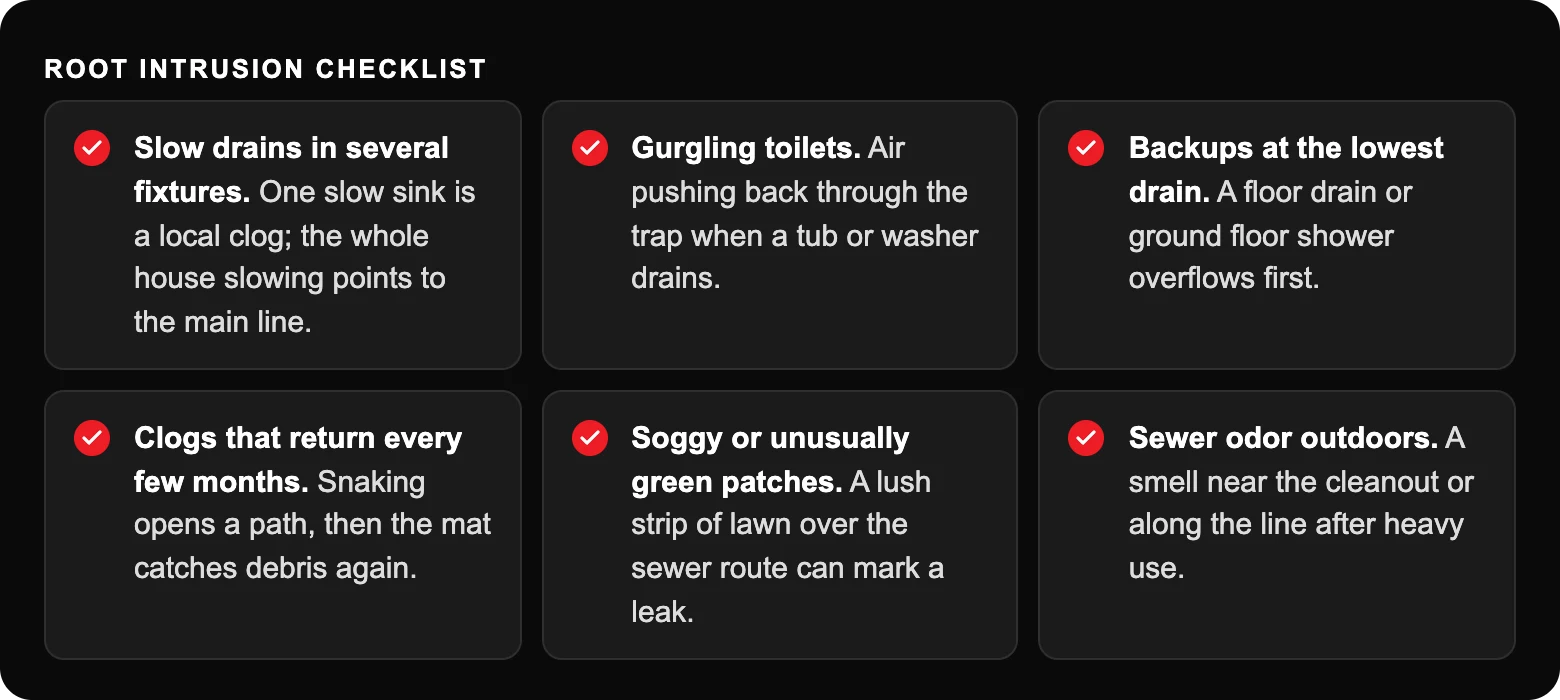 How Do Tree Roots Get Into Sewer Lines, and How Are They Removed? 3 Root intrusion checklist: Slow drains in several fixtures. One slow sink is a local clog; the whole house slowing points to the main line.; Gurgling toilets. Air pushing back through the trap when a tub or washer drains.; Backups at the...